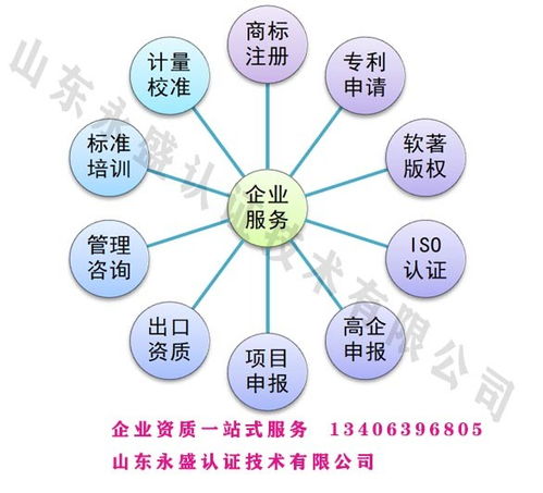 山東夏津企業(yè)如何高效審核ISO45001認(rèn)證技術(shù)咨詢服務(wù)（以CE0099為例）