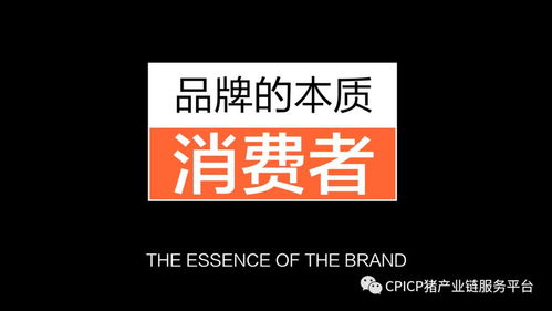 肖一刀 從無到有，打造豬肉品牌的創(chuàng)新之路