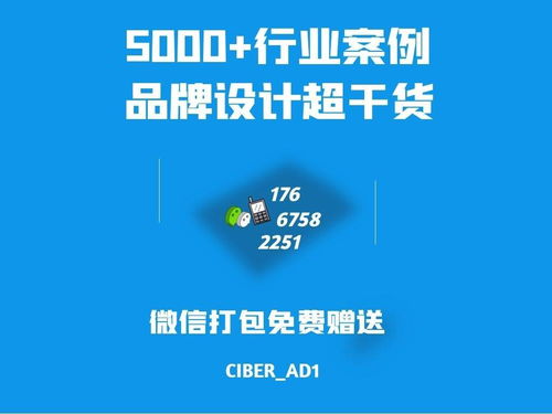 專業(yè)品牌logo設計與企業(yè)形象策劃 賦能企業(yè)發(fā)展的隱形資產(chǎn)